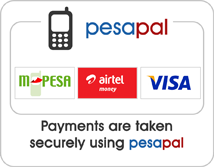 Online Payment